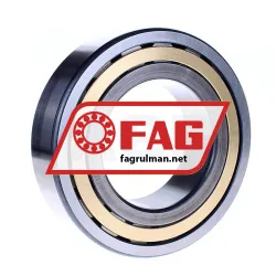 FAG NJ2220-E-M1 rulman resim 2