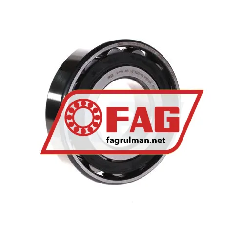 FAG N313-E-TVP2-C3