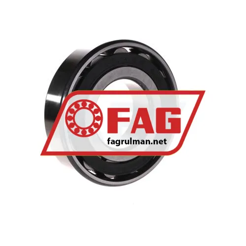 FAG N313-E-TVP2-C3 ürün fotoğrafı 3