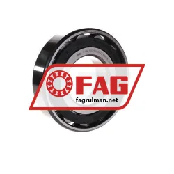 FAG N313-E-TVP2-C3