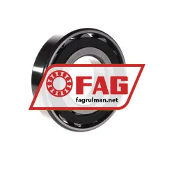 FAG N313-E-TVP2-C3 rulman resim 3