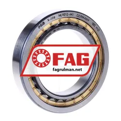 FAG NU1012-M1