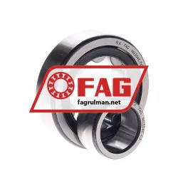 FAG NU304E-TVP2-C3 rulman resim 2