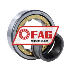 FAG NJ310-E-M1-C3