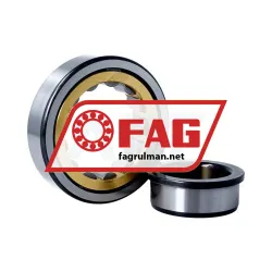 FAG NJ310-E-M1-C3 rulman resim 2