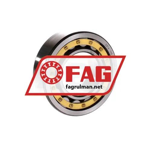 FAG NU2207E-M1