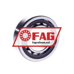 FAG NU206EK-TVP2-C3 rulman resim 3