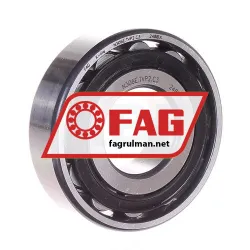 FAG N306E-TVP2-C3