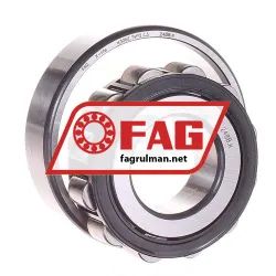 FAG N306E-TVP2-C3 rulman resim 2
