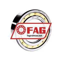FAG NUP2210-E-XL-M1-C3