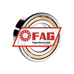 FAG NUP2210-E-XL-M1-C3 rulman resim 3