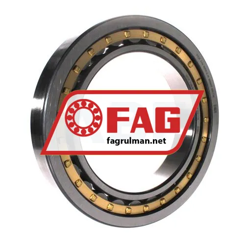 FAG NU1038-XL-M1