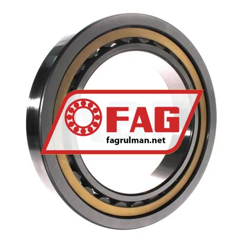 FAG NU1038-XL-M1 ürün fotoğrafı 3