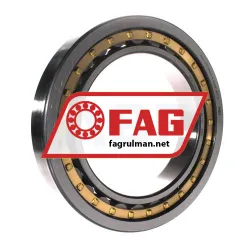 FAG NU1038-XL-M1