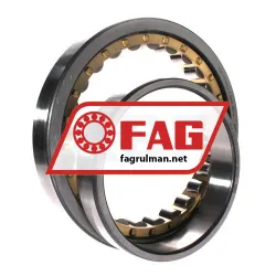 FAG NU1038-XL-M1 rulman resim 2