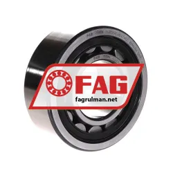 FAG NJ2311-E-XL-TVP2