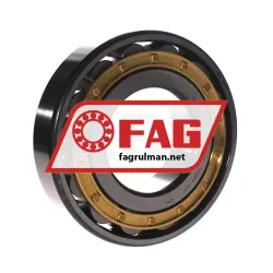 FAG N317-E-XL-M1