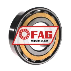 FAG N317-E-XL-M1 rulman resim 3