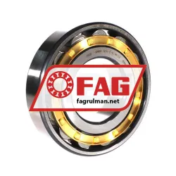 FAG N314-E-XL-M1-C3
