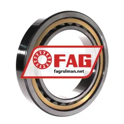 FAG NU1026-XL-M1-C3 rulman resim 2
