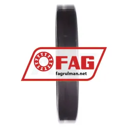 FAG NU1024-XL-M1A-C3 rulman resim 4