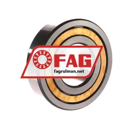 FAG NJ309-E-XL-M1 rulman resim 2