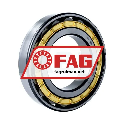 FAG N220-E-XL-M1