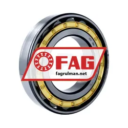 FAG N220-E-XL-M1