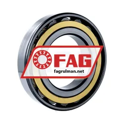 FAG N220-E-XL-M1 rulman resim 2