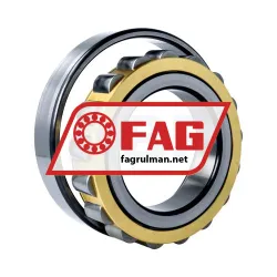 FAG N220-E-XL-M1 rulman resim 3