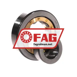 FAG NJ406-XL-M1 rulman resim 3