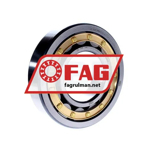 FAG NJ320-E-XL-M1-F1-C4