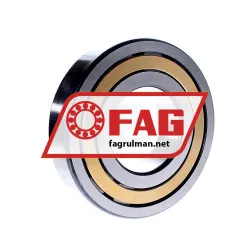 FAG NJ320-E-XL-M1-F1-C4 rulman resim 3