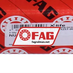 FAG NUP2218-E-XL-M1 rulman resim 6