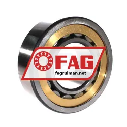 FAG NU2317-E-XL-M1A-QP51-C4 rulman resim 3