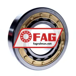 FAG NJ319-E-XL-M1A-C3
