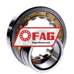 FAG NJ319-E-XL-M1A-C3 rulman resim 2