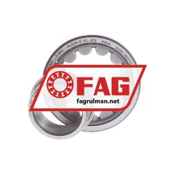 FAG NJ205-E-XL-JP3 rulman resim 2