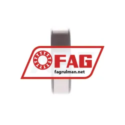 FAG NJ205-E-XL-JP3 rulman resim 4