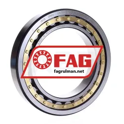 FAG NJ1022-XL-M1-C3