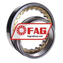 FAG NJ1022-XL-M1-C3 rulman resim 3