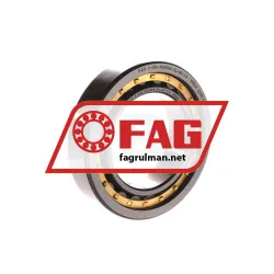 FAG NU1009-XL-M1-C3