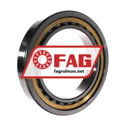 FAG NU1032-XL-M1-C3 rulman resim 2