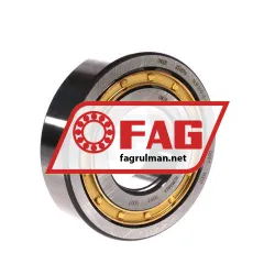 FAG NUP309-E-XL-M1