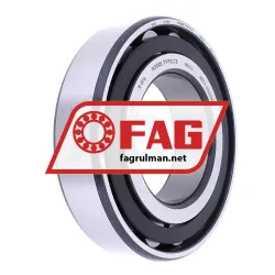 FAG N209-E-XL-TVP2-C3