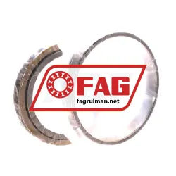 FAG N1020-K-PVPA-SP