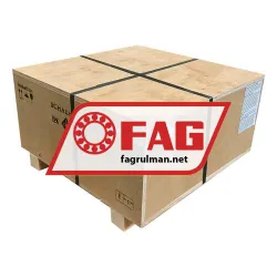 FAG NJ256-E-TB-M1
