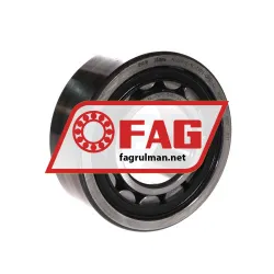 FAG NJ2311-E-XL-MPAX-QP51-C4
