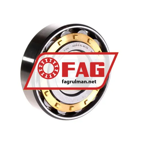 FAG N308-E-XL-M1-C3