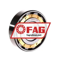 FAG N308-E-XL-M1-C3